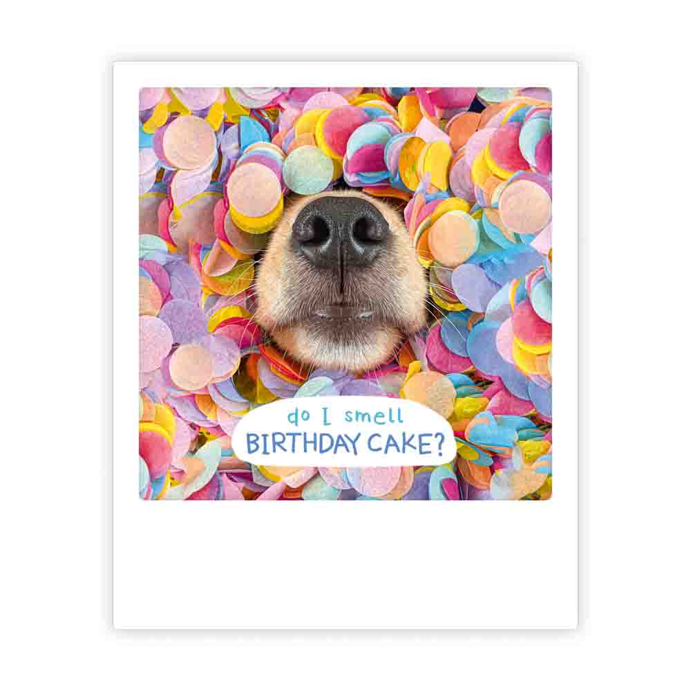 pickmotion-do-i-smell-birthday-cake-postkarte image 1