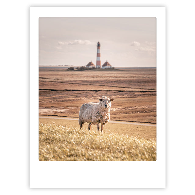 pickmotion-northern-lighthouse-art-poster-mit-echtglas-rahmen image 1