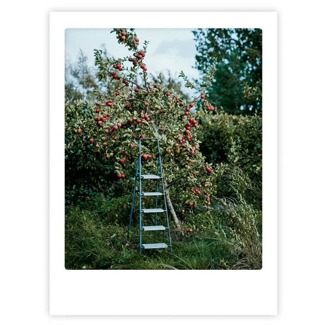 pickmotion-art-poster-small-escape-mit-echtglas-rahmen image 1