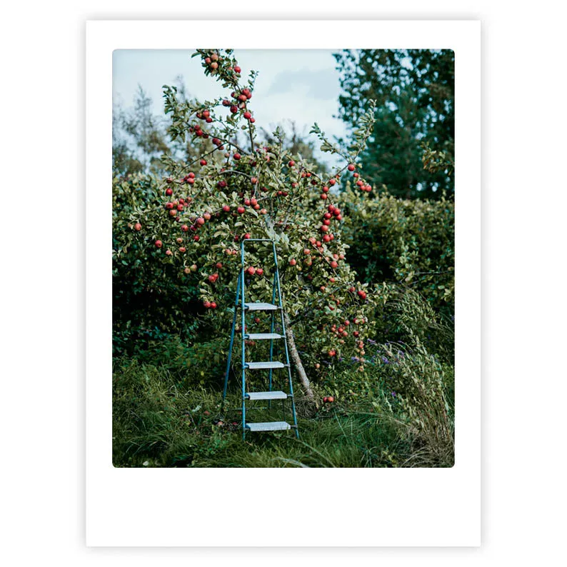 pickmotion-art-poster-small-escape-mit-echtglas-rahmen image 1