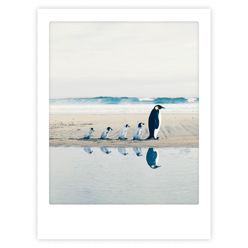 pickmotion-follow-me-art-poster-mit-echtglas-rahmen image 1