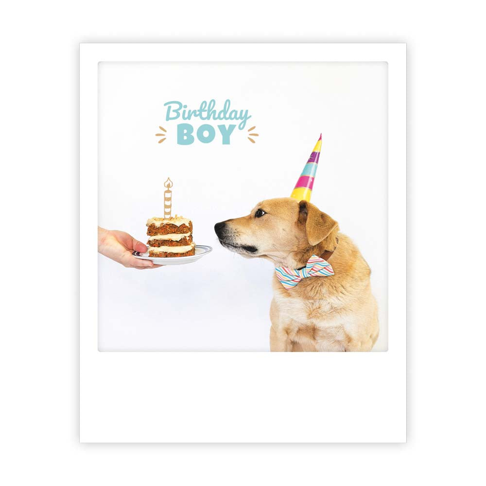 pickmotion-birthday-boy-postkarte-im-sofortbild-stil image 1