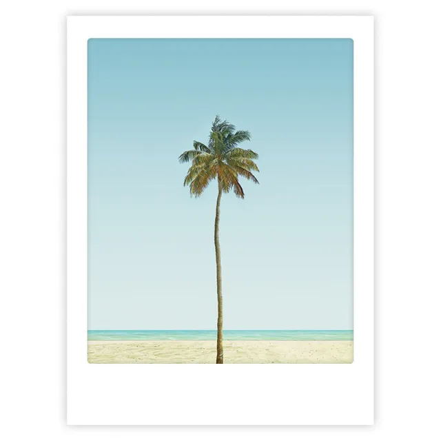 pickmotion-palm-tree-art-poster-mit-echtglas-rahmen image 1