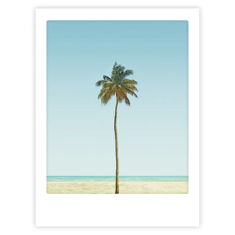pickmotion-palm-tree-art-poster-mit-echtglas-rahmen image 1
