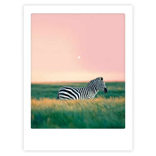 pickmotion-zebra-crossing-art-poster-mit-echtglas-rahmen image 1