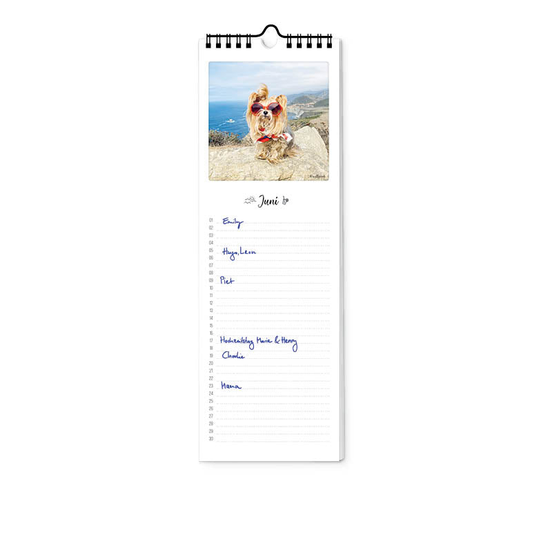 pickmotion-geburtstagskalender-bunter-hund-12x36-cm image 2