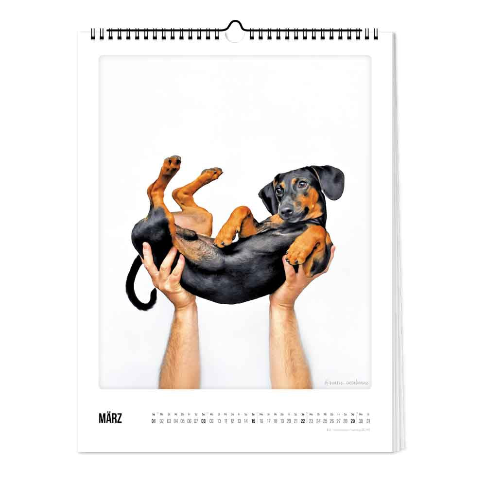 pickmotion-bunter-hund-kalender-30x40-2026 image 2