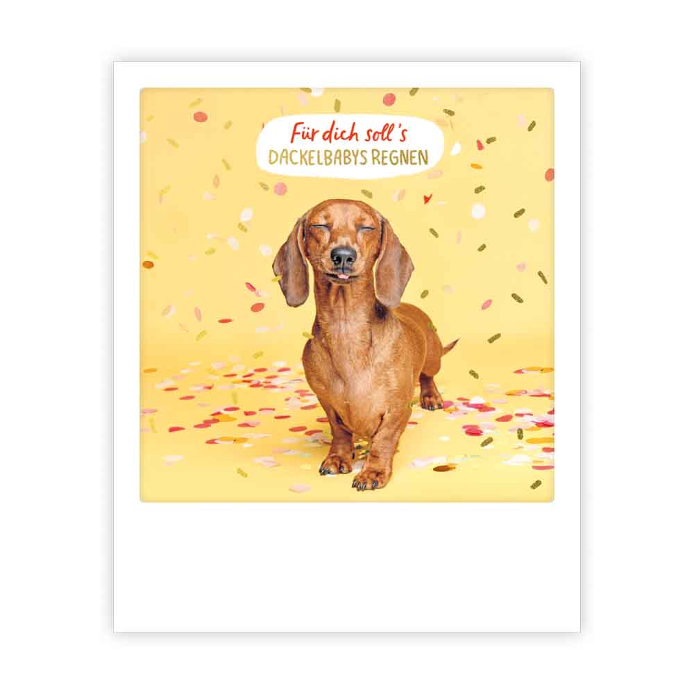 pickmotion-postkarte-f-r-dich-dackelbabys-einzelmotiv image 1