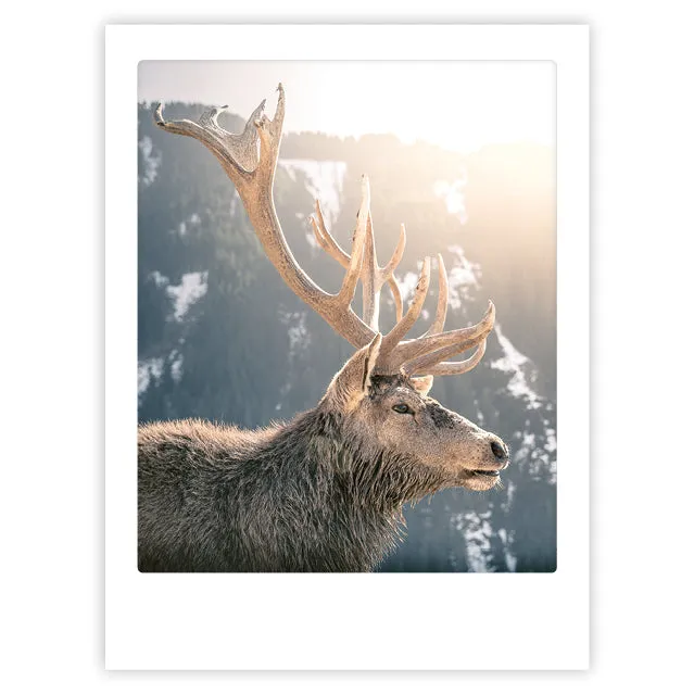 pickmotion-new-beginnings-art-poster-mit-echtglas-rahmen image 1