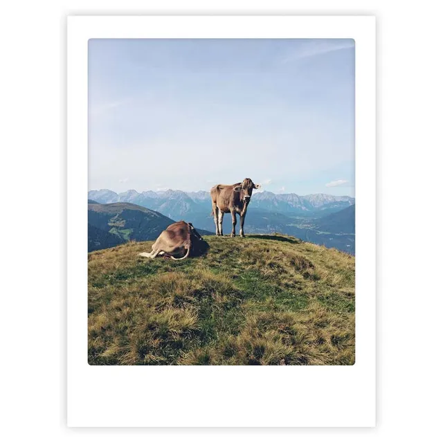 pickmotion-mountain-cow-art-poster-mit-echtglas-rahmen image 1