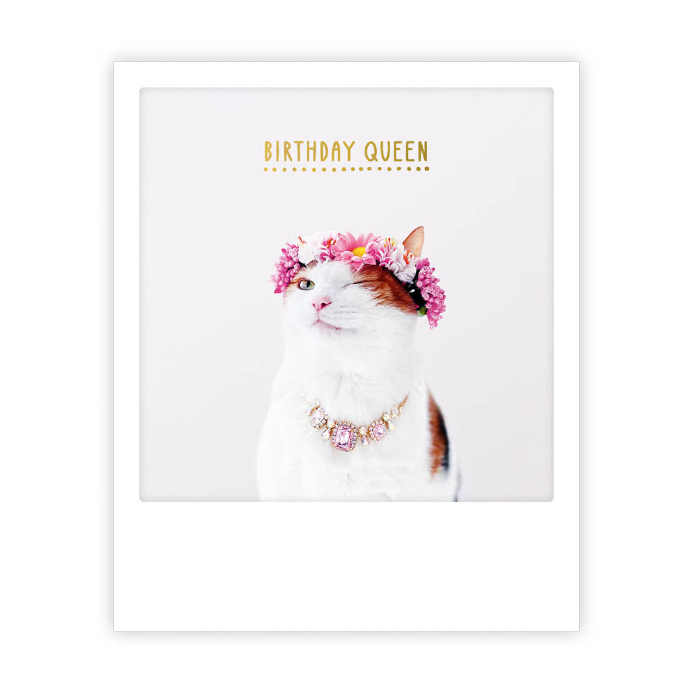 pickmotion-birthday-queen-cat-postkarte-im-sofortbild-stil image 1