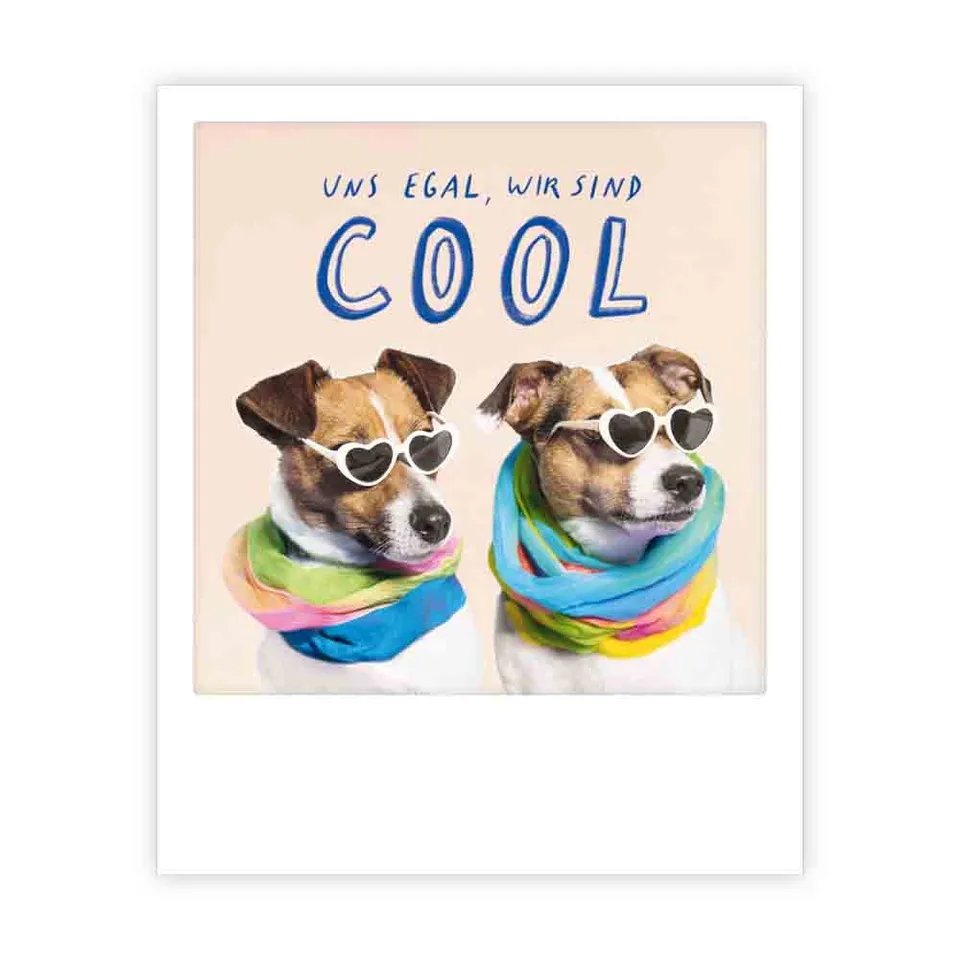 pickmotion-postkarte-uns-egal-wir-sind-cool-hunde image 1