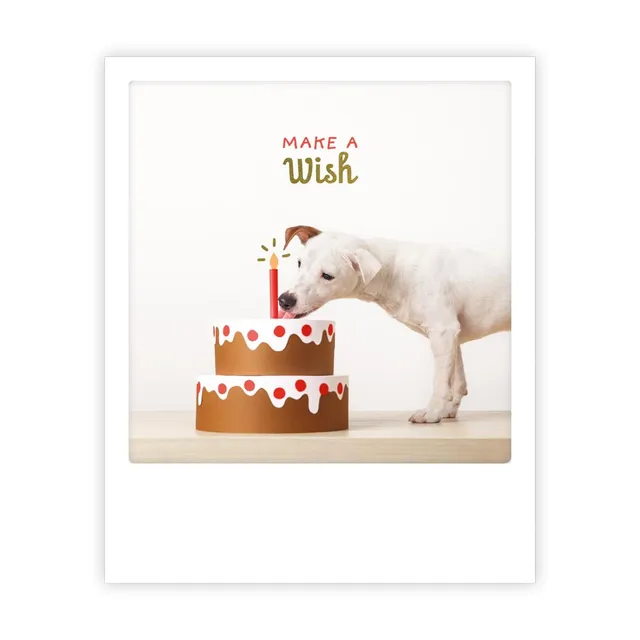 pickmotion-make-a-wish-postkarte-sofortbild-stil image 1