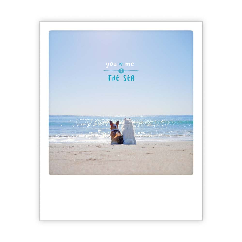pickmotion-you-me-the-sea-dogs-postkarte-sofortbild-stil image 1