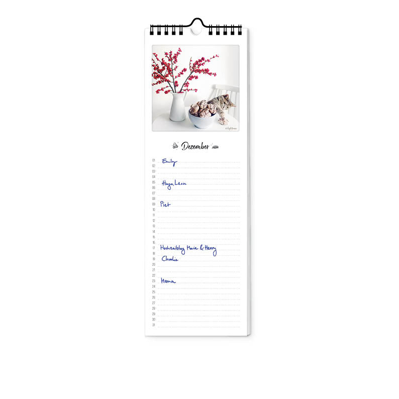 pickmotion-katz-kater-geburtstagskalender-12x36-cm-jahresunabh-ngig image 2