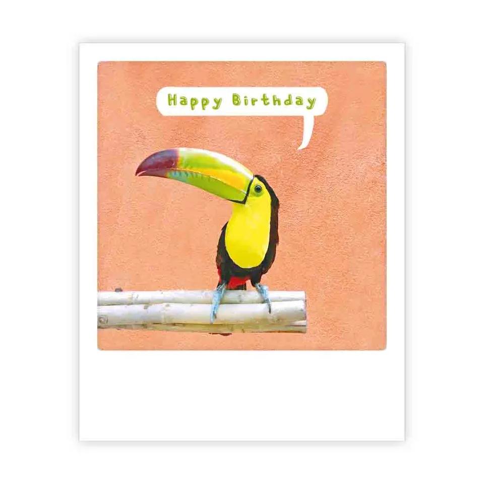 pickmotion-happy-birthday-toucan-postkarte image 1