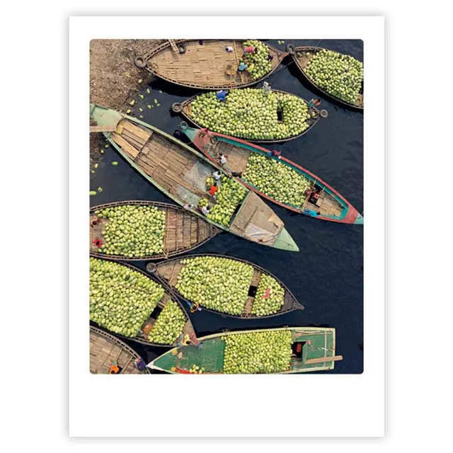 pickmotion-water-melon-boats-art-poster-mit-echtglas-rahmen image 1