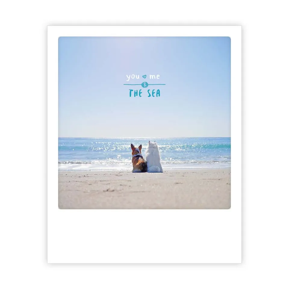 pickmotion-you-me-the-sea-dogs-postkarte-sofortbild-stil image 1
