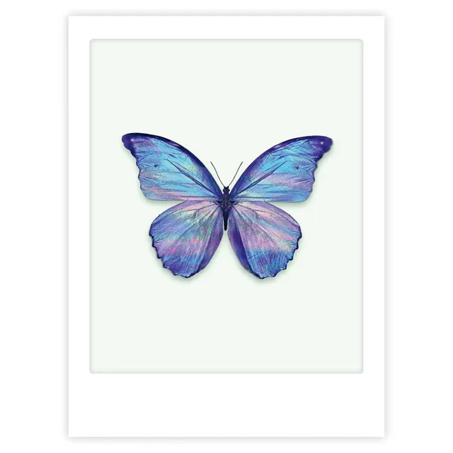 pickmotion-spread-your-wings-and-fly-art-poster-mit-echtglas-rahmen image 1