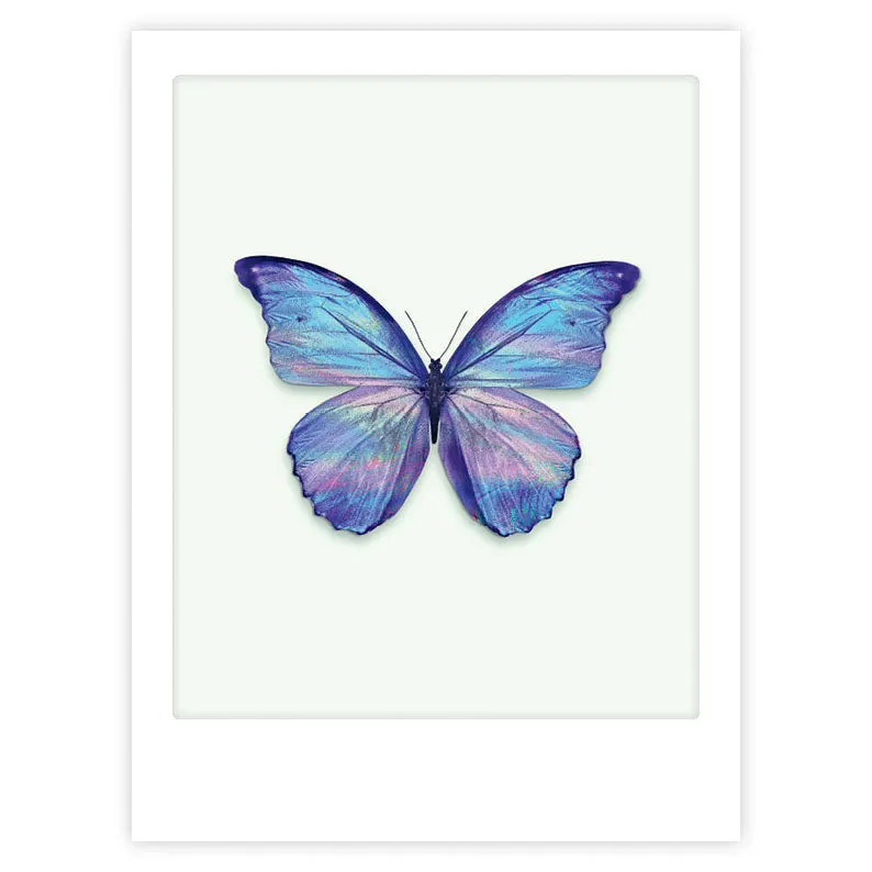 pickmotion-spread-your-wings-and-fly-art-poster-mit-echtglas-rahmen image 1