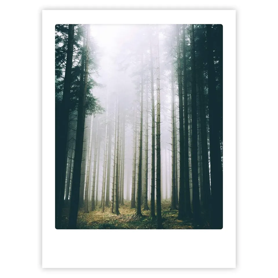 pickmotion-misty-forest-art-poster-mit-echtglas-rahmen image 1