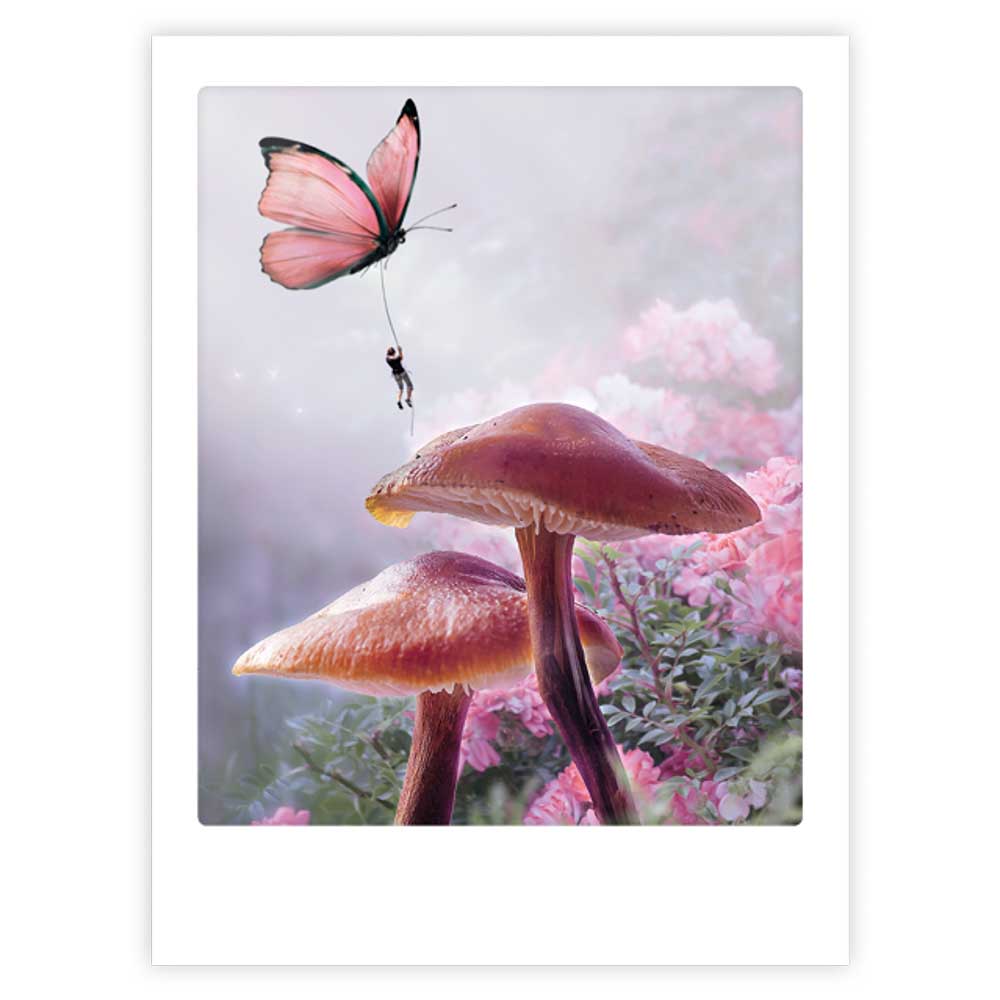 pickmotion-fairytale-forest-art-poster-mit-echtglas-rahmen image 1
