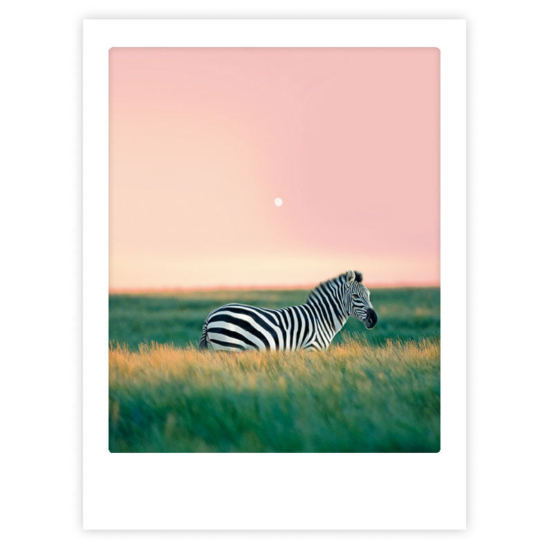 pickmotion-zebra-crossing-art-poster-mit-echtglas-rahmen image 1