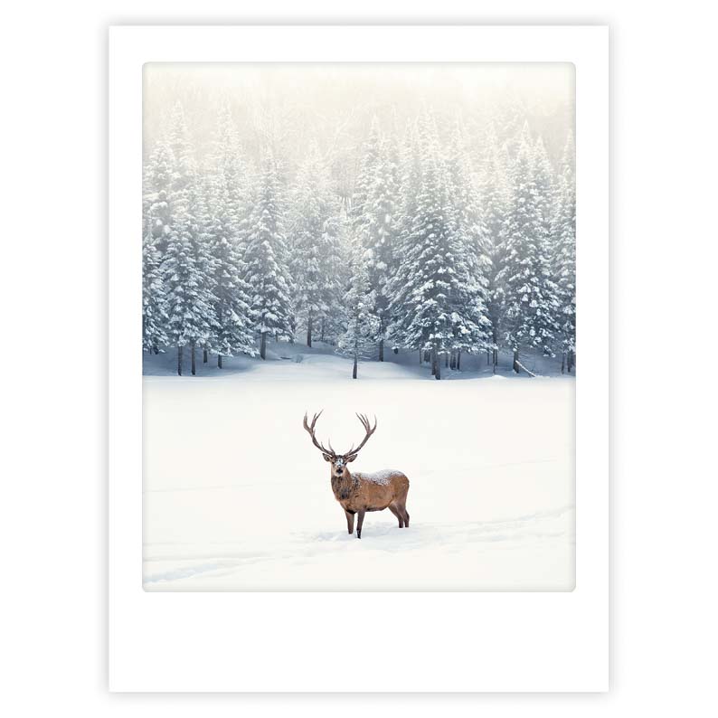 pickmotion-winter-deer-art-poster-mit-echtglas-rahmen image 1