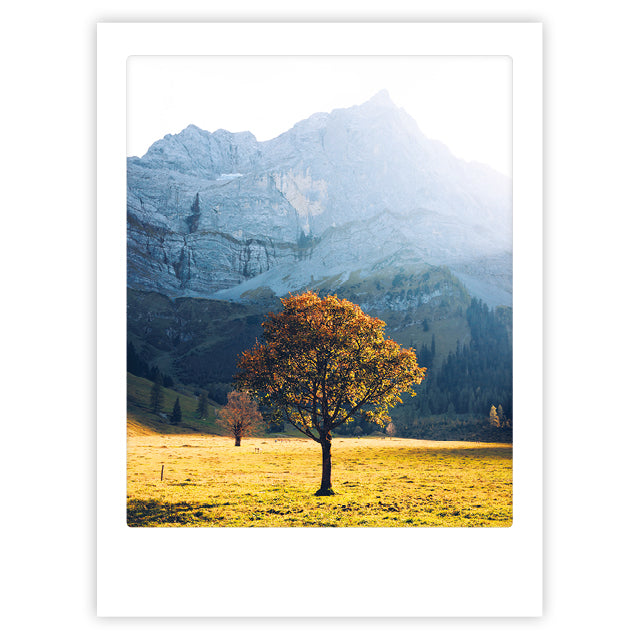 pickmotion-autumn-leafs-art-poster-mit-echtglas-rahmen image 1