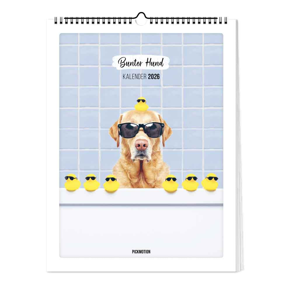 pickmotion-bunter-hund-kalender-30x40-2026 image 1
