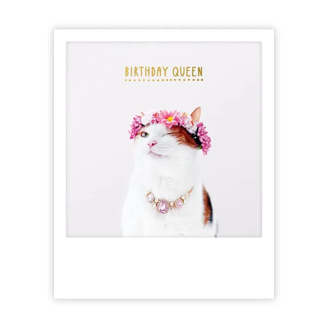 pickmotion-birthday-queen-cat-postkarte-im-sofortbild-stil image 1
