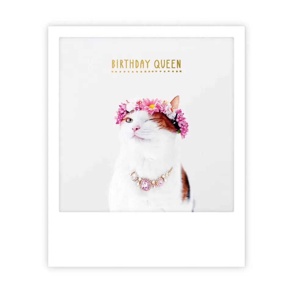 pickmotion-birthday-queen-cat-postkarte-im-sofortbild-stil image 1