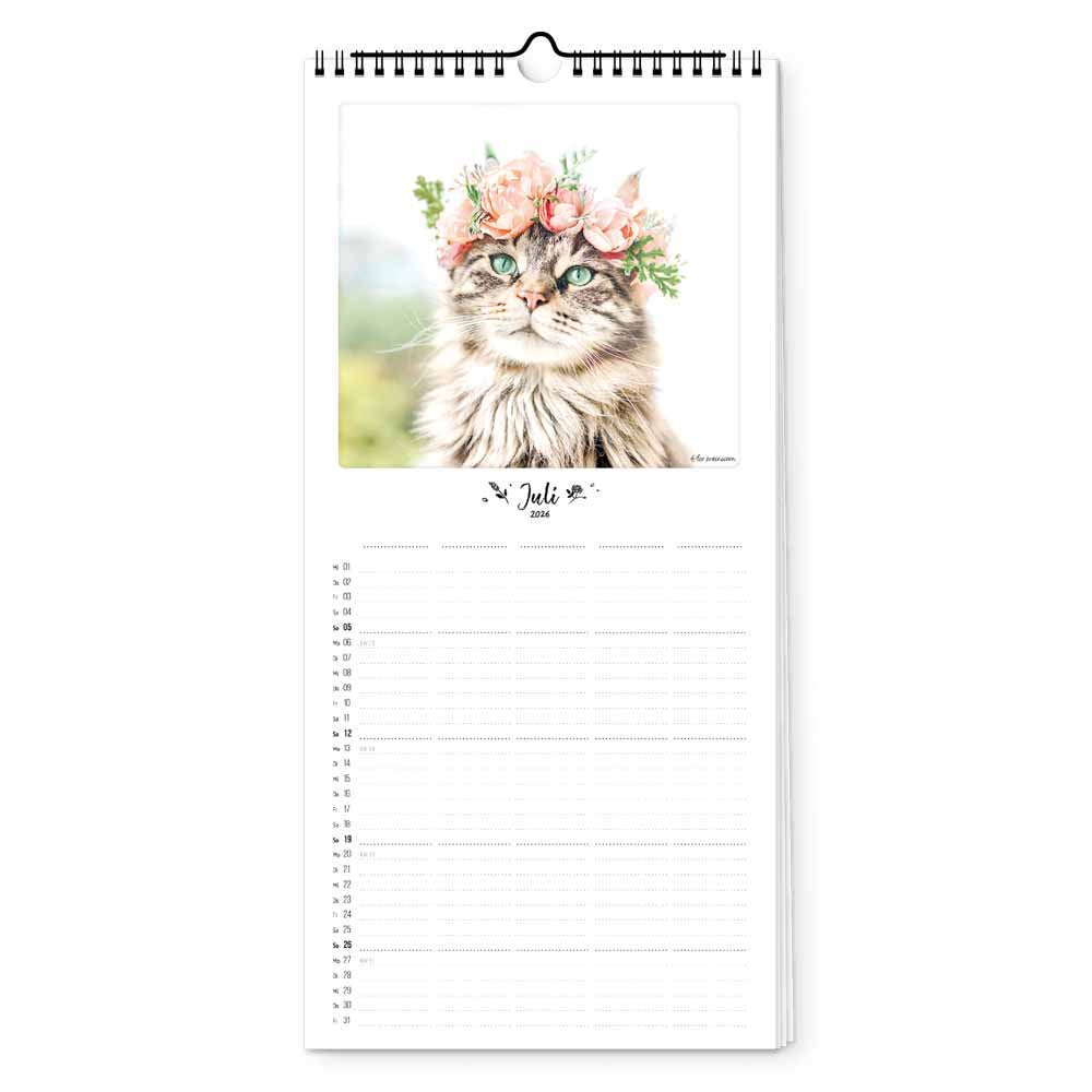 pickmotion-katz-kater-planer-15x40-cm-2026 image 2