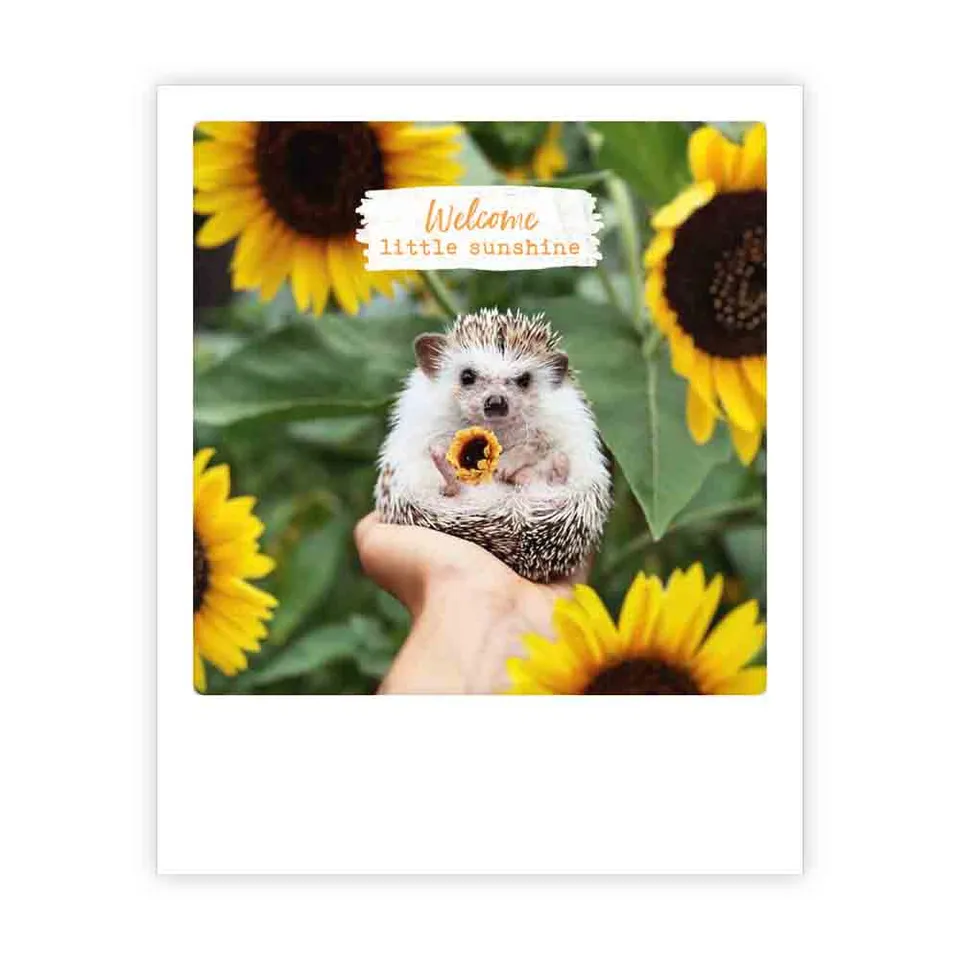pickmotion-welcome-little-sunshine-postkarte image 1