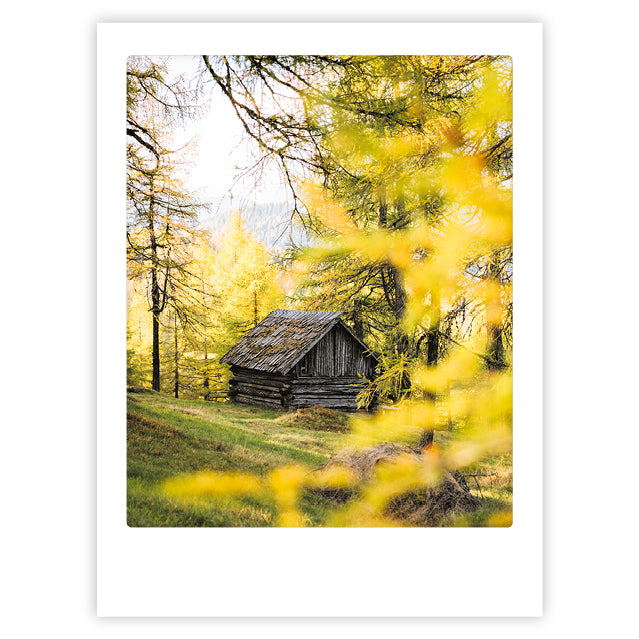 pickmotion-forest-cabin-art-poster-mit-echtglas-rahmen image 1