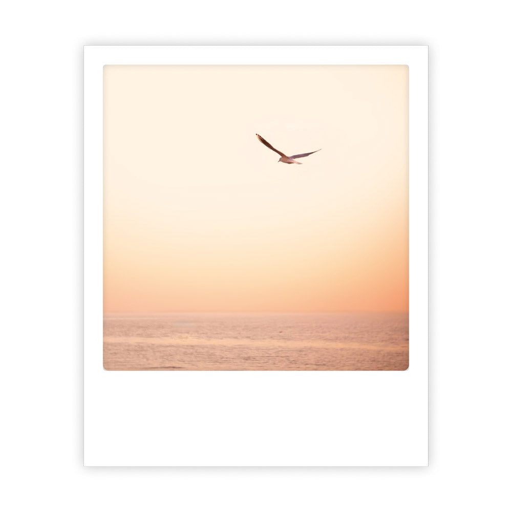 pickmotion-sunset-wings-postkarte-sofortbild-foto-motivkarte image 1