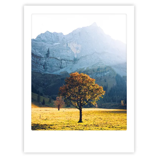 pickmotion-autumn-leafs-art-poster-mit-echtglas-rahmen image 1