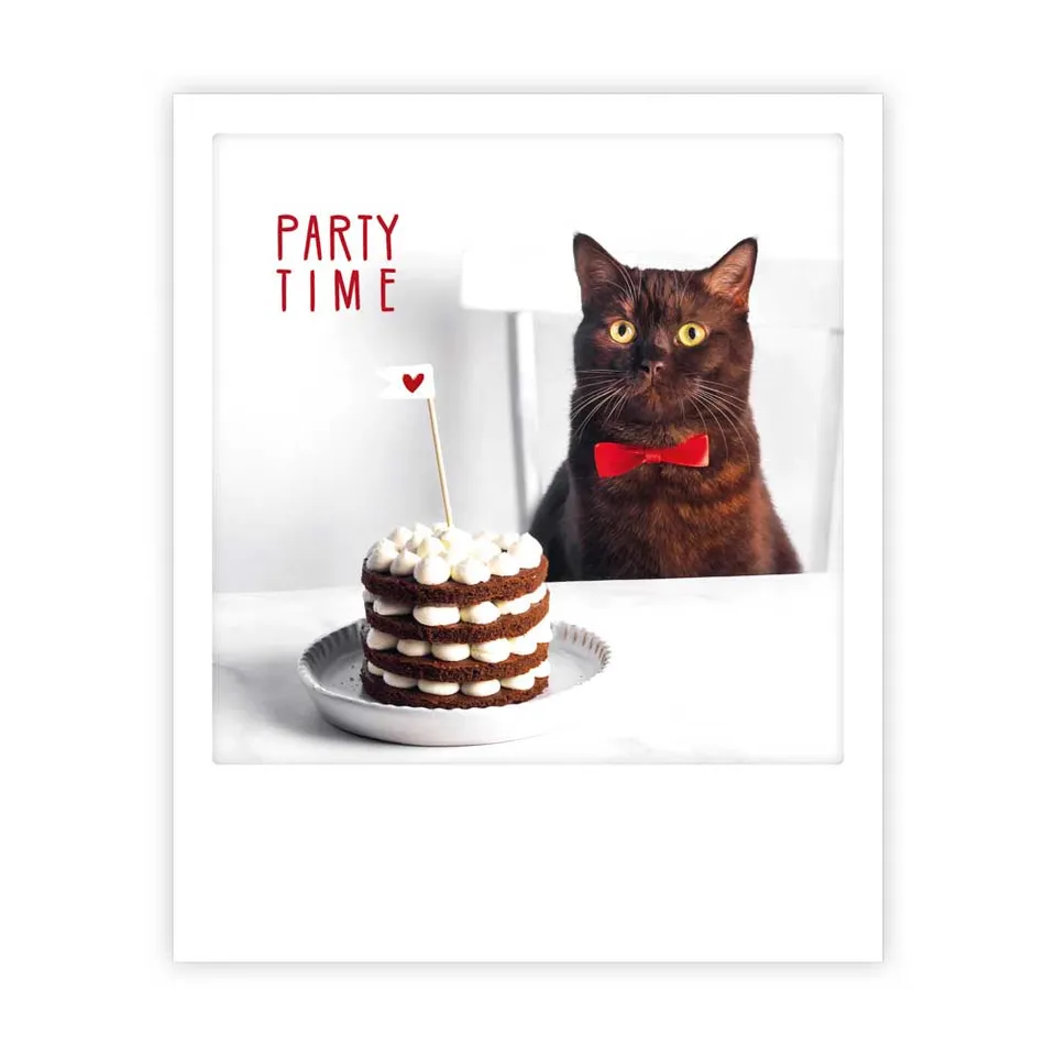 pickmotion-party-time-cat-postkarte-sofortbild-stil image 1