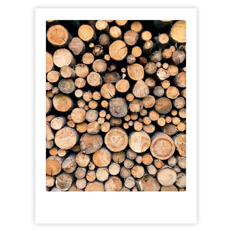 pickmotion-take-me-to-the-woods-art-poster-mit-echtglas-rahmen image 1