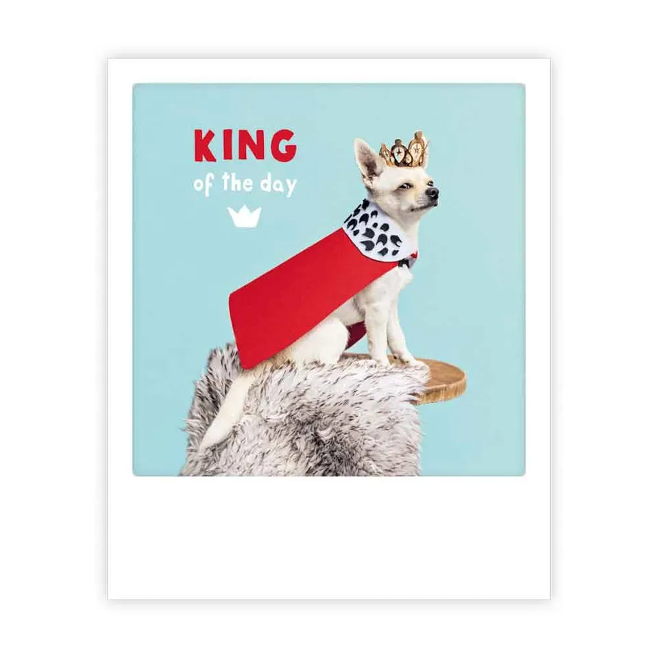 pickmotion-king-of-the-day-postkarte-im-sofortbild-stil image 1