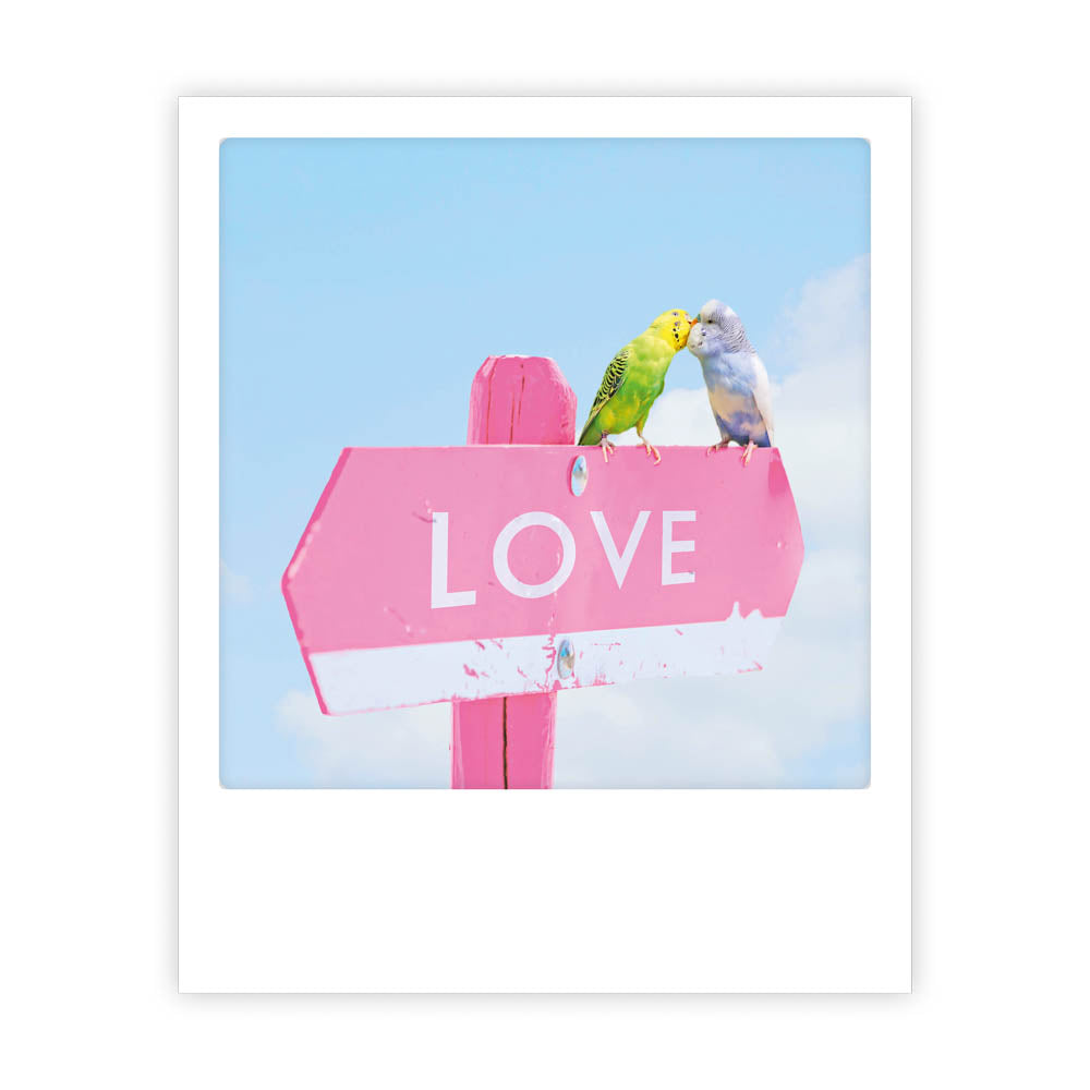 pickmotion-postkarte-love-birds-fotopostkarte-im-sofortbild-stil image 1