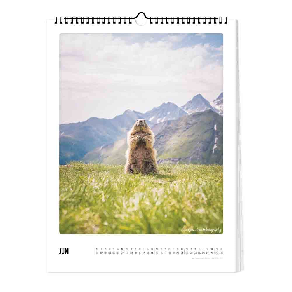 pickmotion-der-berg-ruft-kalender-2026-format-30x40 image 3
