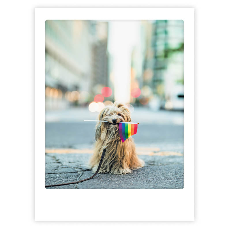 pickmotion-love-is-love-art-poster-mit-echtglas-rahmen image 1