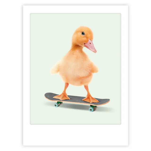 pickmotion-skateboarding-baby-duck-art-poster-echtglas image 1