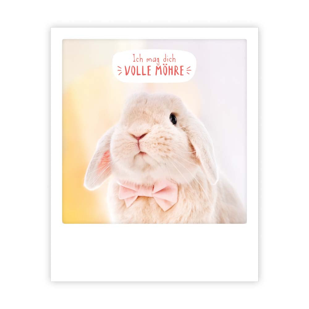 pickmotion-postkarte-ich-mag-dich-volle-m-hre image 1