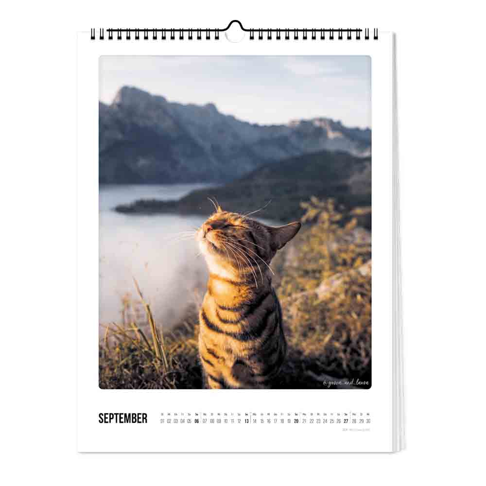 pickmotion-katz-kater-kalender-2026-wandkalender-30x40-cm image 3