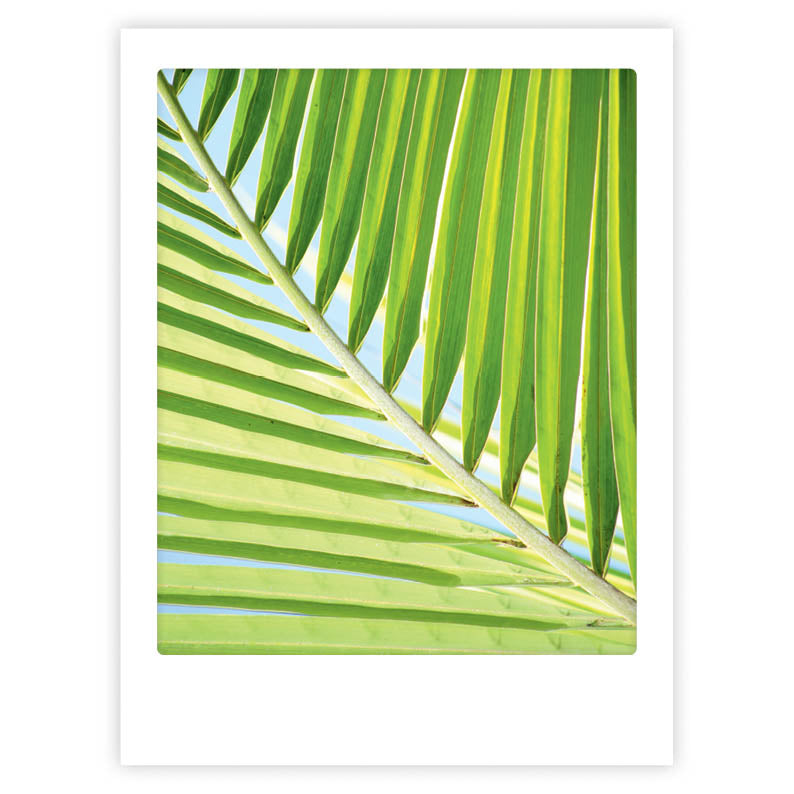 pickmotion-art-poster-summer-time-mit-echtglas-rahmen image 1