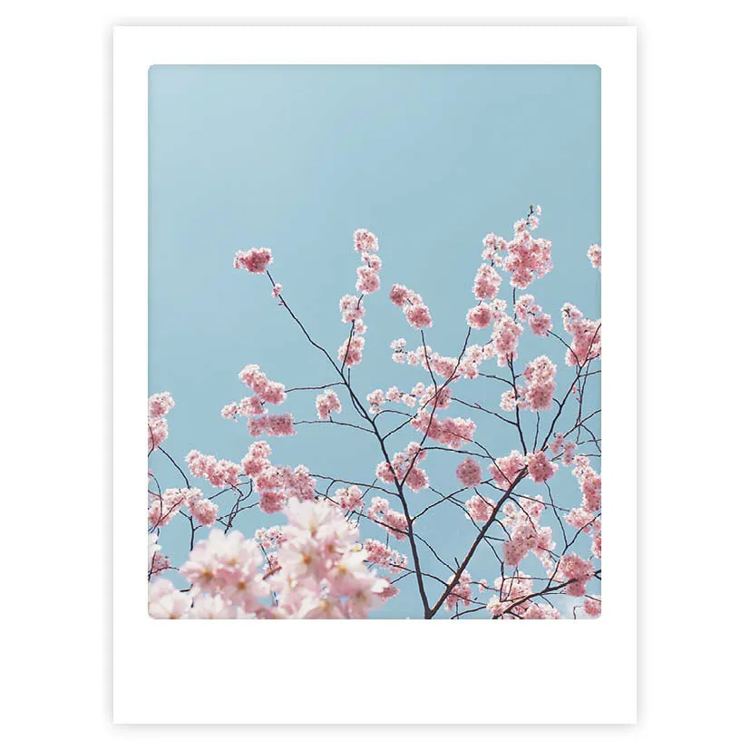 pickmotion-art-poster-spring-has-sprung-mit-echtglas-rahmen image 1