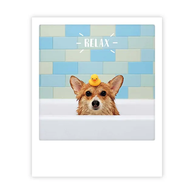 pickmotion-relax-postkarte-im-sofortbild-stil image 1