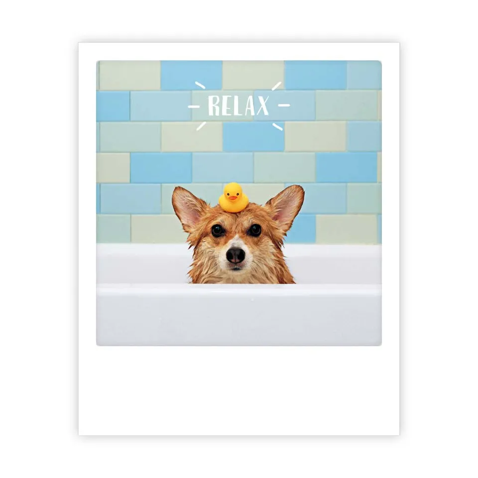 pickmotion-relax-postkarte-im-sofortbild-stil image 1